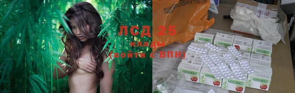 прущий лед Алзамай