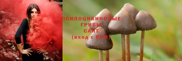 дмт Алексеевка