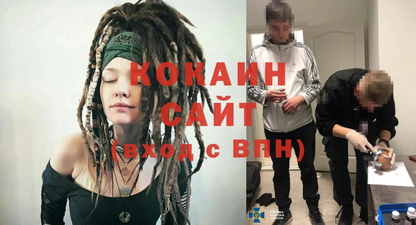 Альфа ПВП Аркадак
